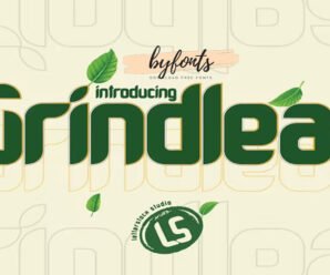 Grindleaf logotype, typography premium free Font