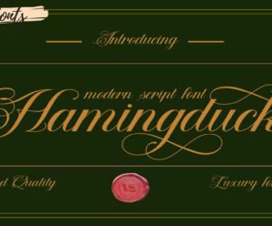 Hamingduck Invitation, logo google premium free Font