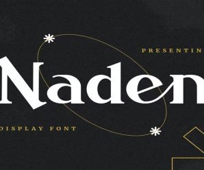 Naden Cool, Design, creative, display Download premium free Font