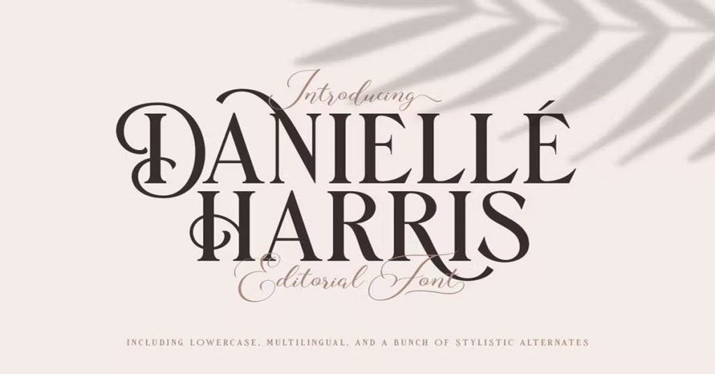 Danielle Harris - Instagram free premium Font