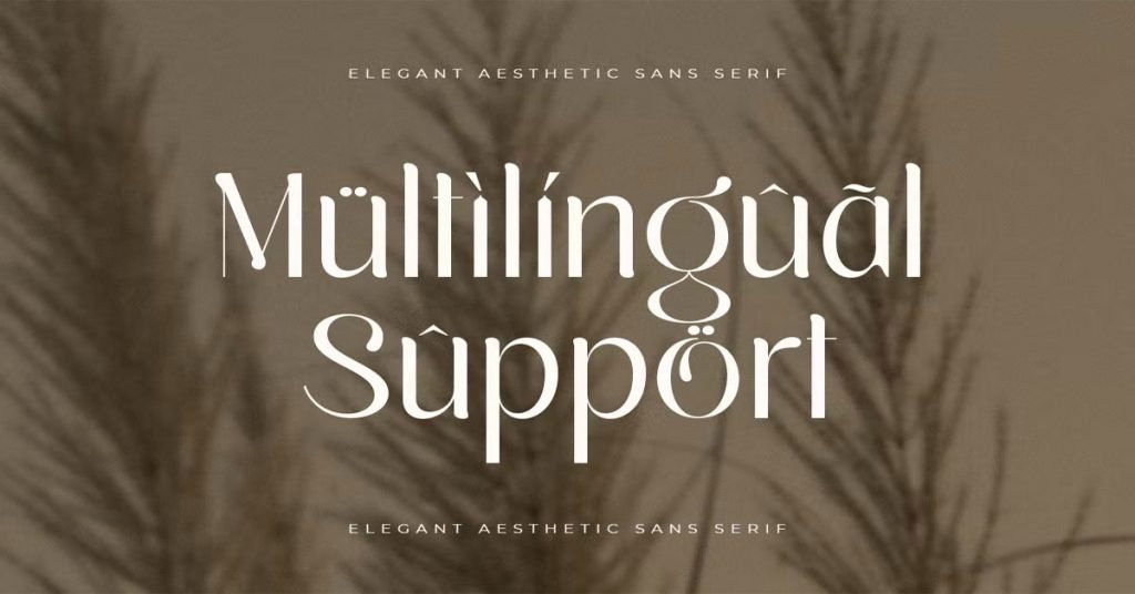 Silky and Elegant Sans Serif Aesthetic Premium Font