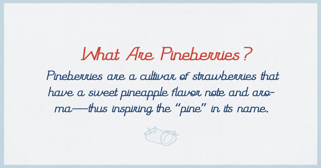Pineberry Premium Free Font Download