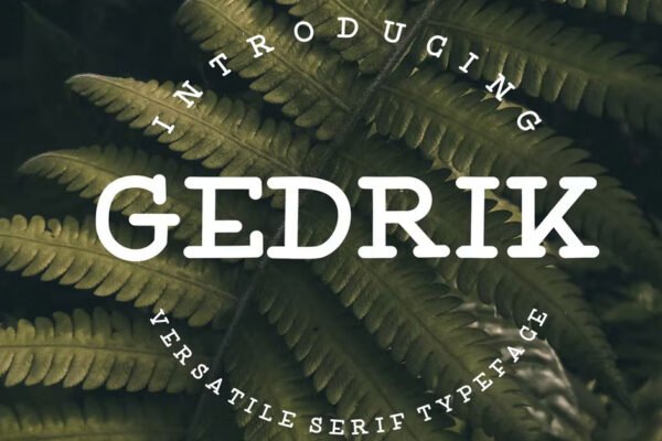 Gedrik Serif Typeface, sans serif Download free Font
