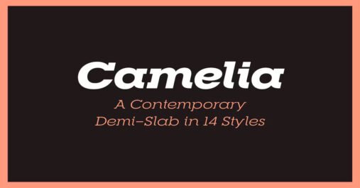 RNS Camelia Typeface Cute Premium Free Font