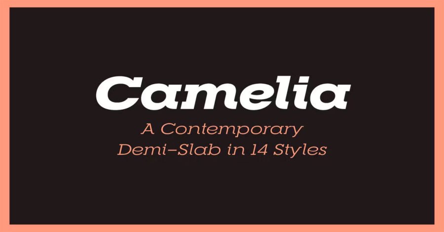 RNS Camelia Typeface Cute Premium Free Font