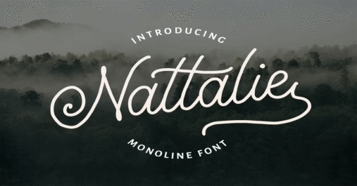 Nattalie Monoline Premium Free Font Download