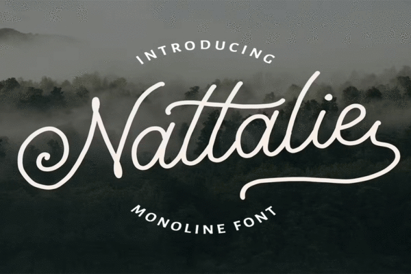 Nattalie Monoline Premium Free Font Download