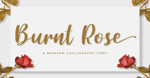 Burnt Rose Font Download Premium Free