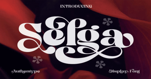 Selga Retro Display Premium Font