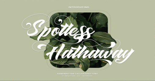 Spotless Hattaway Font Download Premium