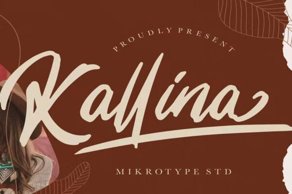 Kallina Calligraphy, Instagram free Font