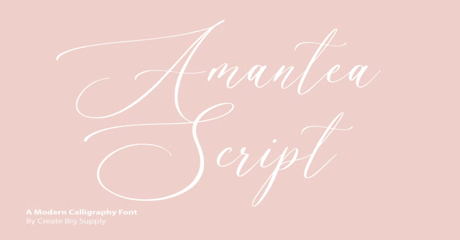 Amantea Script Download Premium Free Font