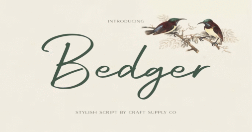 Bedger Premium Free Font Download