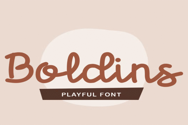 Boldins Premium Free Font Download