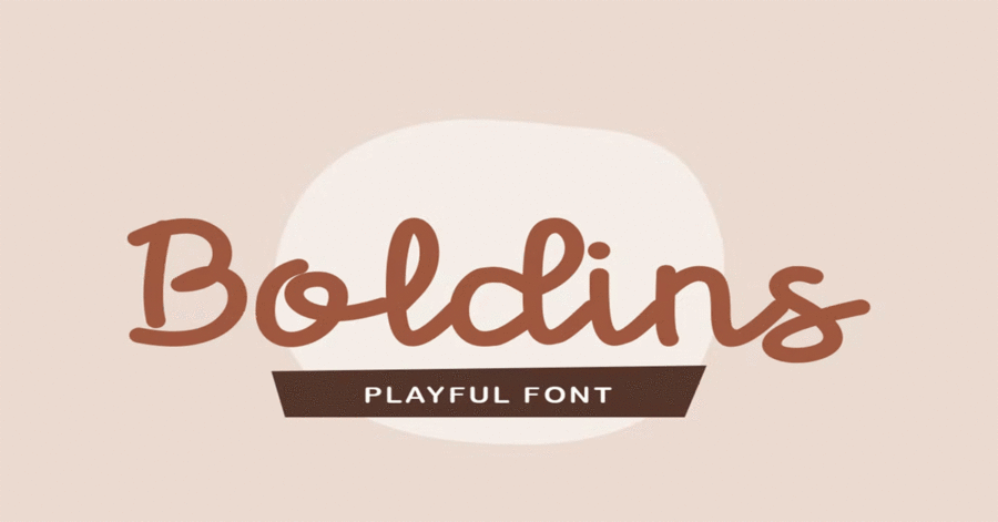 Boldins Premium Free Font Download