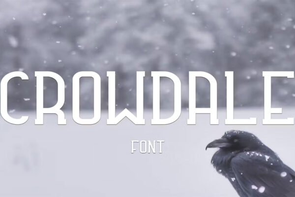 Crowdale Serif Tall Download Premium Free Font