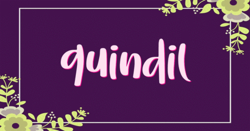 Quindil Typeface Premium Free Font Download