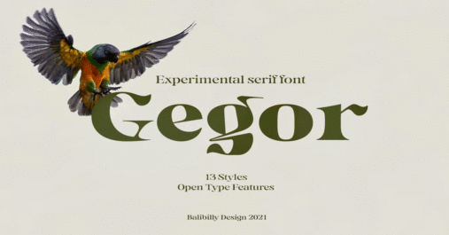 Gegor Serif Display Download Free Font