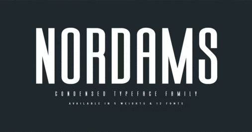 Nordams Sans Serif Download Premium Free Font