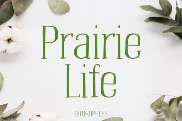 Prairie Life Serif Thin Download Premium Free Font