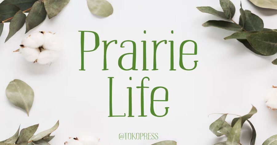 Prairie Life Serif Thin Download Premium Free Font