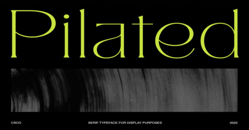 Pilated Premium Free Font Download