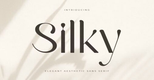 Silky and Elegant Sans Serif Aesthetic Premium Font