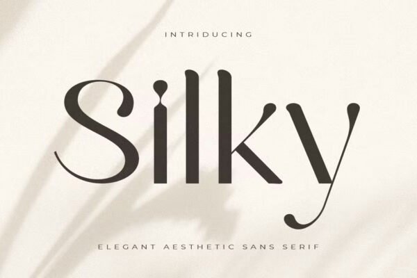 Silky and Elegant Sans Serif Aesthetic Premium Font