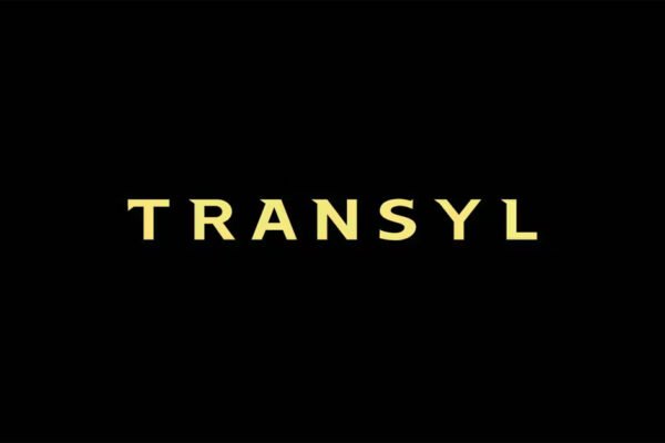 Transyl Medieval Download Premium Free Font