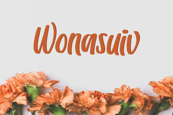 Wonasuiv Premium Free Font Download