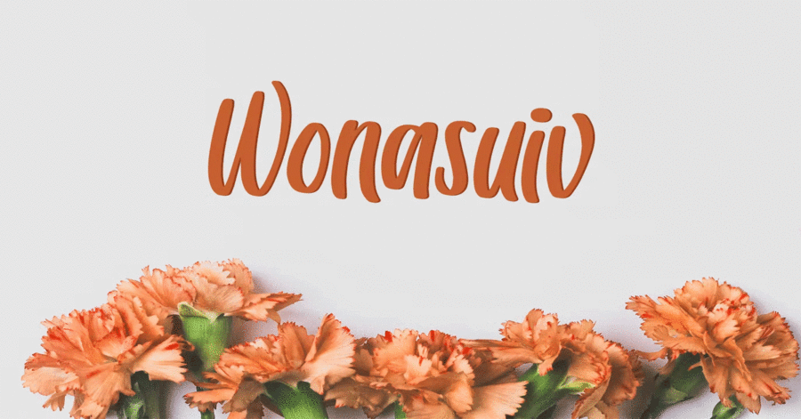 Wonasuiv Premium Free Font Download